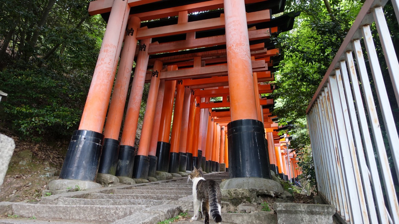 Fushimi Inari Taisha