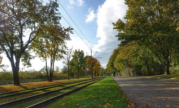 Railroads and green nature