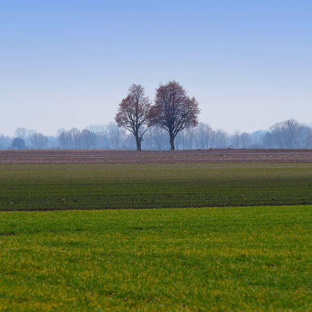 Shades of green and blue